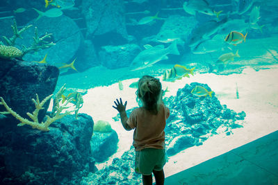 Rear view of girl looking at fish at aquarium