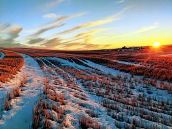 Panoramic view of field against sky during sunset