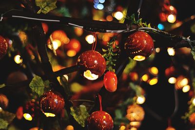 Close-up of christmas lights hanging on tree