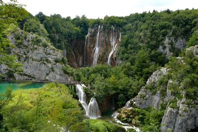 Scenic view of waterfall in forest