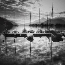 Sailboats moored on harbor against sky