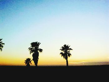 Silhouette palm trees on beach against clear sky