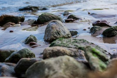 Surface level of pebble beach