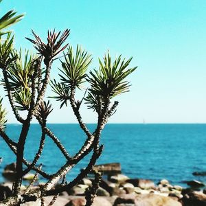 Scenic view of sea against blue sky