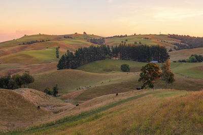 Scenic view of landscape against sky during sunset