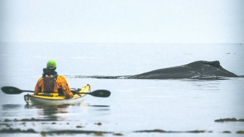 Rear view of person kayak in sea against sky