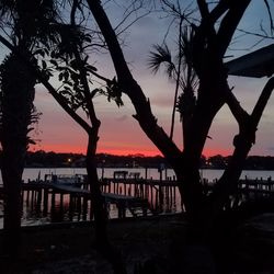 Silhouette tree by sea against sky during sunset