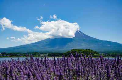 Scenic view of landscape against cloudy sky