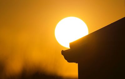 Close-up of silhouette yellow against sky during sunset