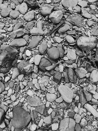 Full frame shot of pebbles on beach