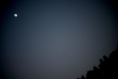 Low angle view of moon in sky