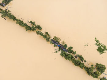 High angle view of christmas decorations on pink background