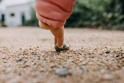 Low section of person standing on footpath