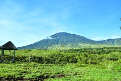 Scenic view of agricultural field against blue sky