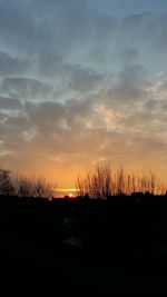 Silhouette bare trees on field against sky at sunset