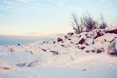 Scenic view of snow covered landscape