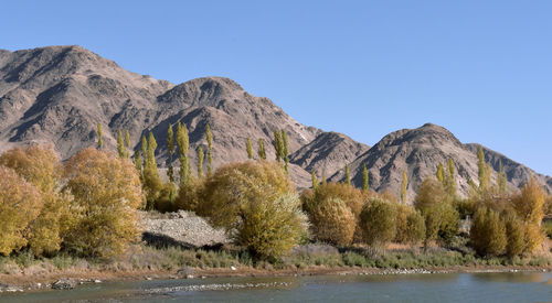 Scenic view of lake and mountains against clear sky