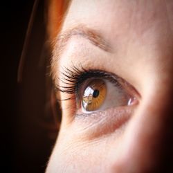 Cropped image of woman with brown eyes