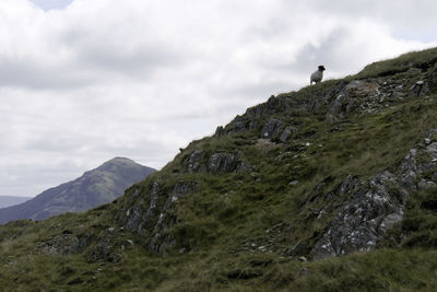 Scenic view of mountain against sky