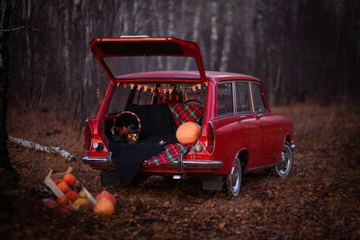 Car on field with pumpkins