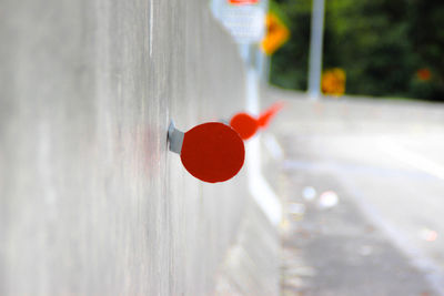 Close-up of red flower