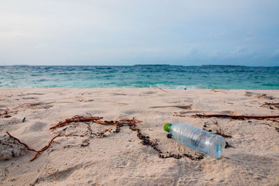 Plastic bottle on an empty sand beach in maldives