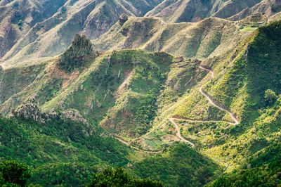 High angle view of green landscape