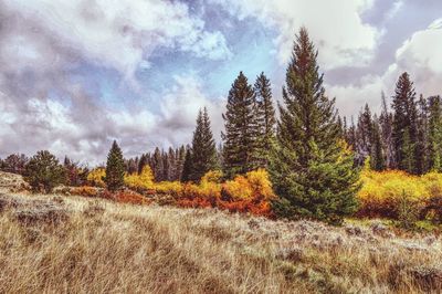 Scenic view of landscape against cloudy sky