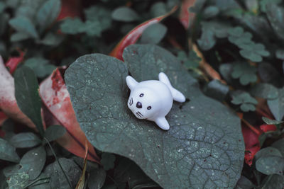 High angle view of small stuffed toy amidst plants