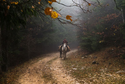 Rear view of man riding bicycle