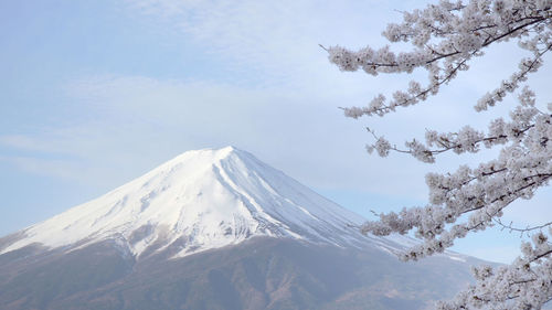 Snow covered mountain against sky