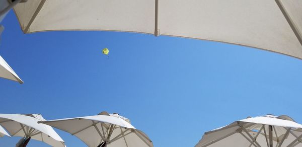 Low angle view of umbrellas against blue sky