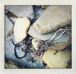 High angle view of crab on rock