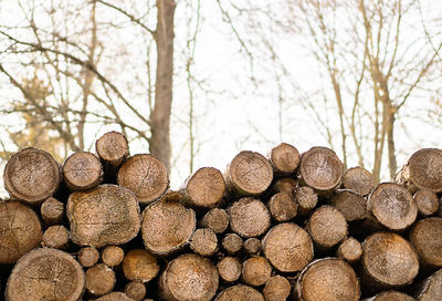 Many tree trunks on storage place. background texture.