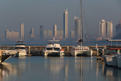 Yachts at ocean marina with high rise buildings of pattaya in the background.