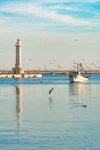 lighthouse