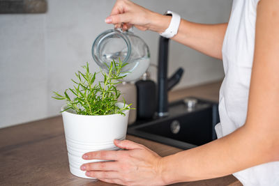 Midsection of man holding potted plant