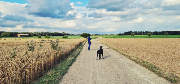 Rear view of man walking on agricultural field against sky