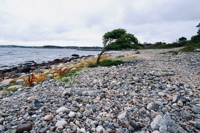 View of pebbles on beach against sky