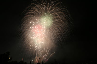 Low angle view of firework display at night