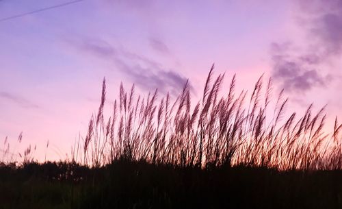 Scenic view of silhouette field against sky during sunset