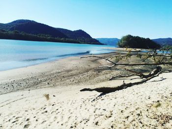 Scenic view of beach against clear sky