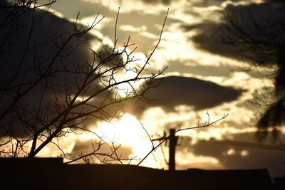 Close-up of silhouette plant against sky at sunset