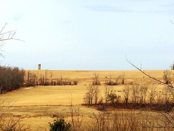 Scenic view of field against clear sky