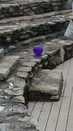 High angle view of wood