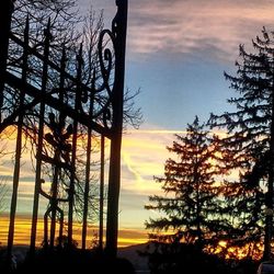Bare trees against sky at sunset