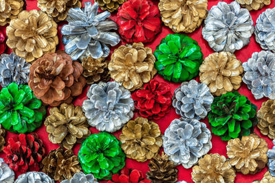 Background of colourful pine cones as a christmas background