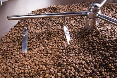 Close-up of roasted coffee beans in machinery