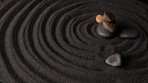 High angle view of seashells on sand