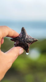 Close-up of hand holding leaf